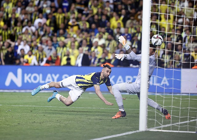 个案分析 个案分析