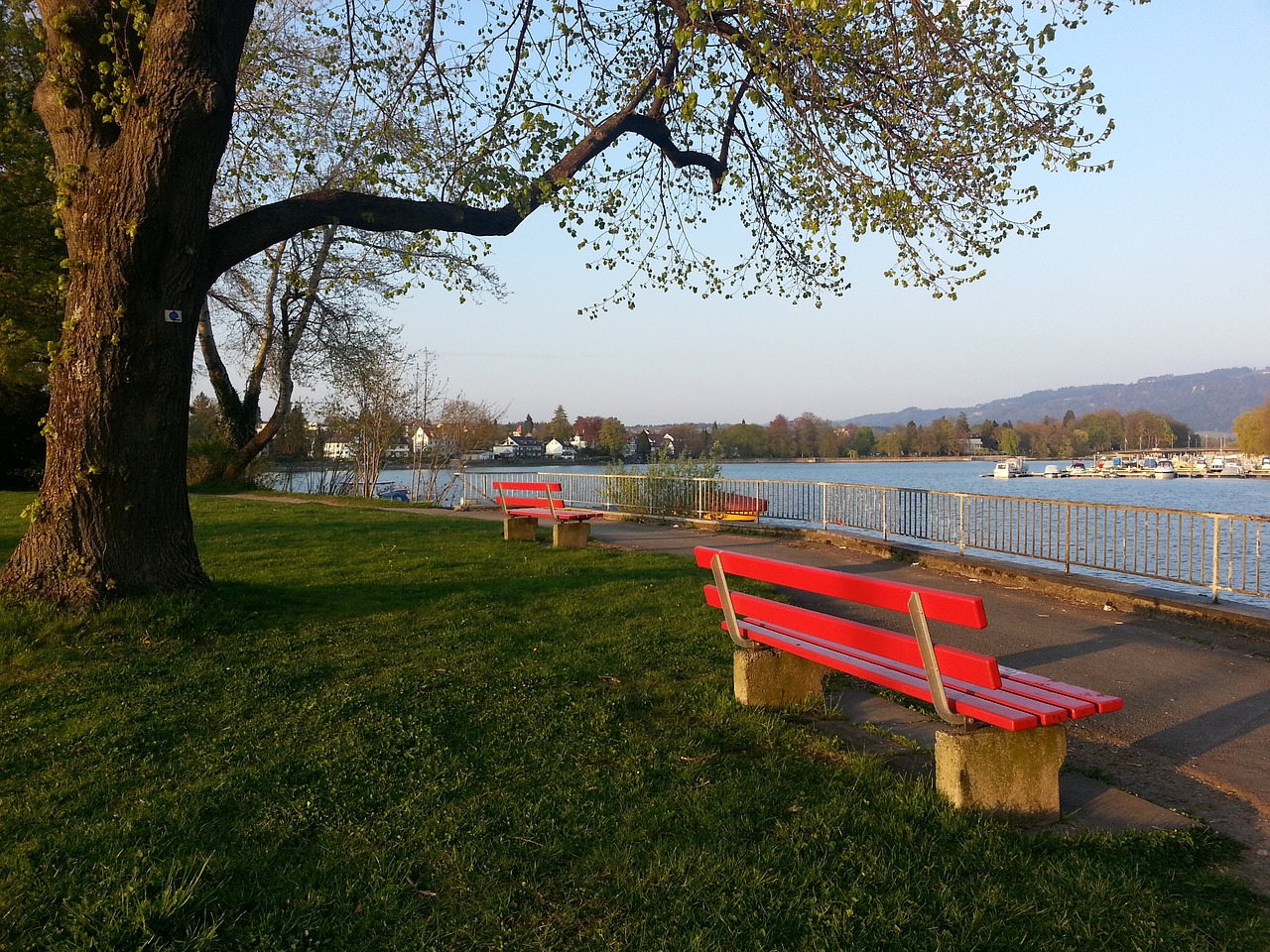 篮大赛的言 篮大赛的言