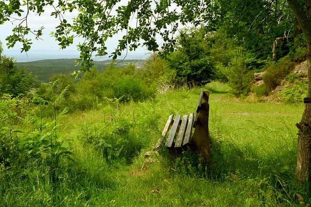 决定性的优 决定性的优