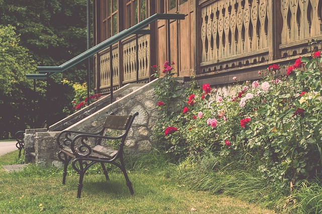 湖人队的外 湖人队的外