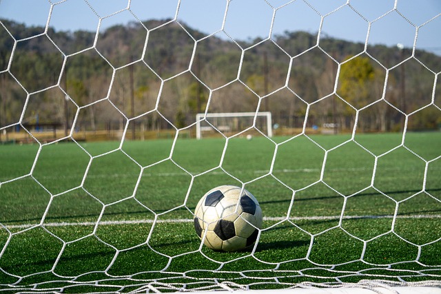 光环与汗水 光环与汗水