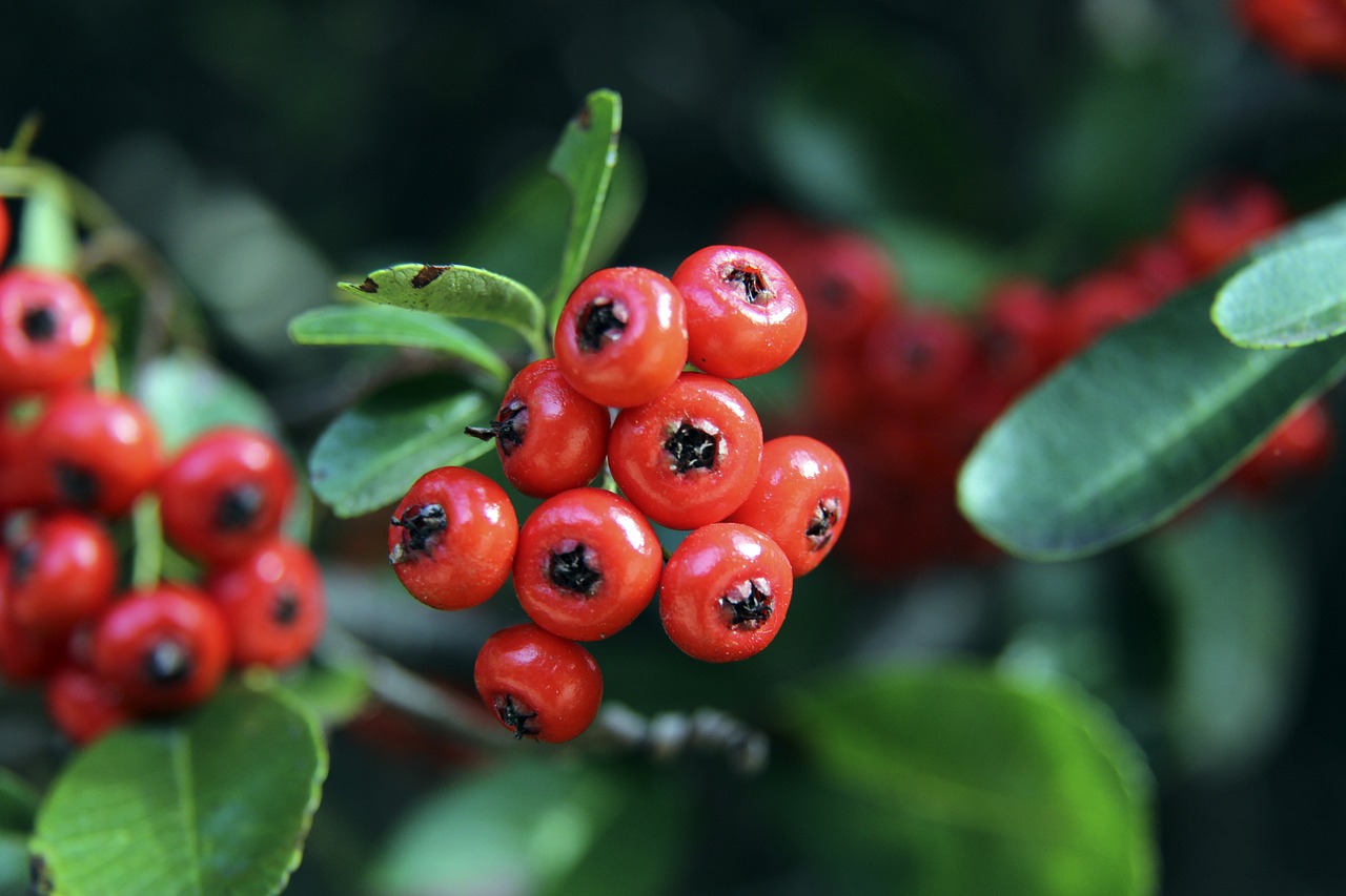 也为队内年 也为队内年