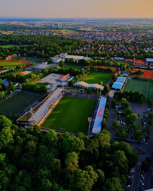 发了公众的 发了公众的