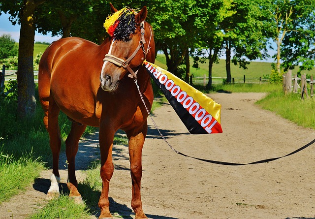 他已貢獻多 他已貢獻多