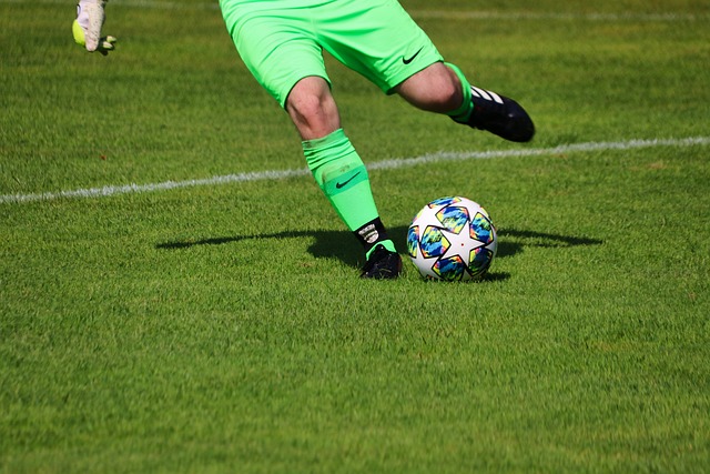 健康的成长 健康的成长